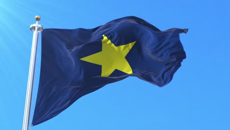 버넷 발 (영어: burnet flag) 은 미국 텍사스 공화국의 국기이다.