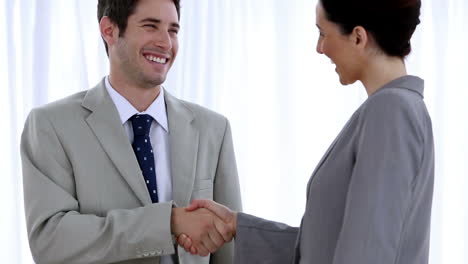 buinessman shaking hands with a colleague