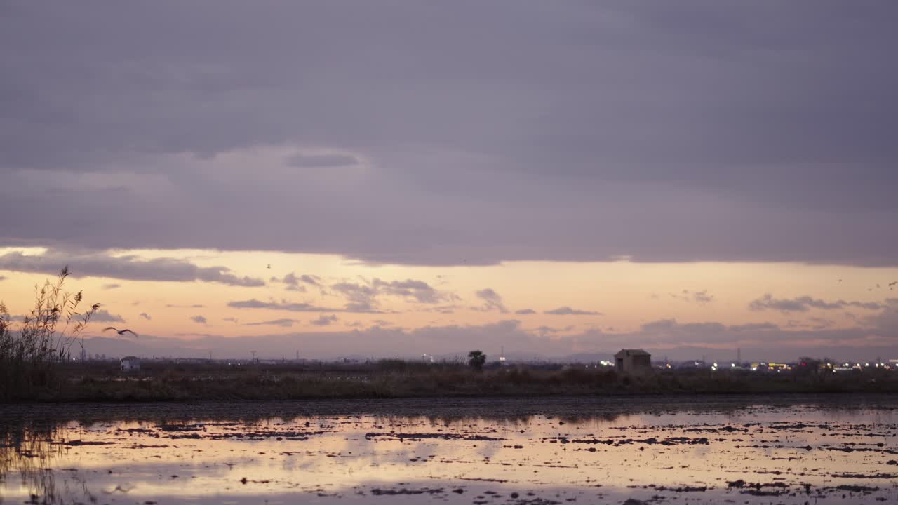 Sunrise or Sunset over a Wetland with Birds