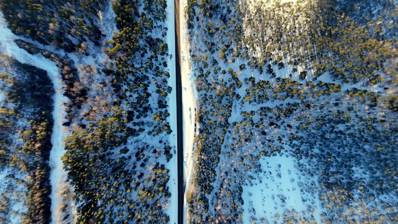 Luchtfoto van een eenzame asfaltweg die door een diep bevroren groenblijvend bos snijdt op een heldere winterdag met gouden zonlicht dat reflecteert op witte sneeuw en lange schaduwen onder een helderblauwe lucht