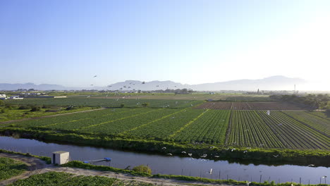 aerial view of agricultural fields