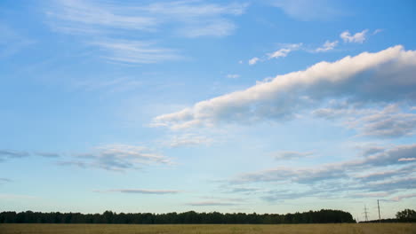 blue sky with clouds over forest