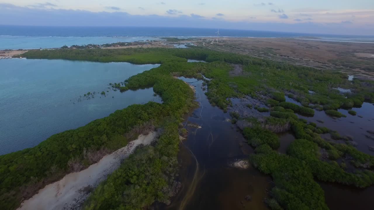la laguna y los manglares de lac bay en bonaire, antillas holandesas