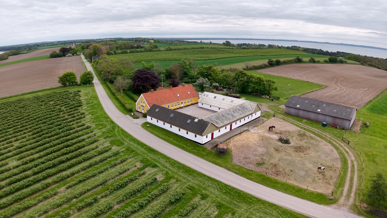 Vista aerea da drone di un terreno agricolo verde e ordinato con filari di colture e una strada tortuosa che conduce a una casa colonica, immersa nella campagna rurale sotto un cielo nuvoloso