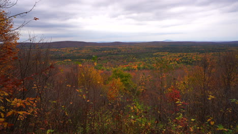 Still-shot-on-top-of-a-maple-tree-mountain-with-leaf-in-the-wind