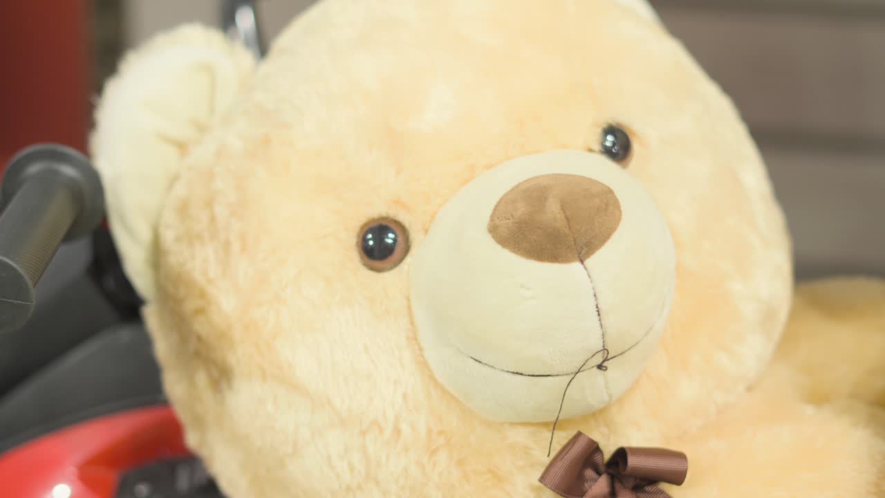 yellow colour teddy bear face closeup view