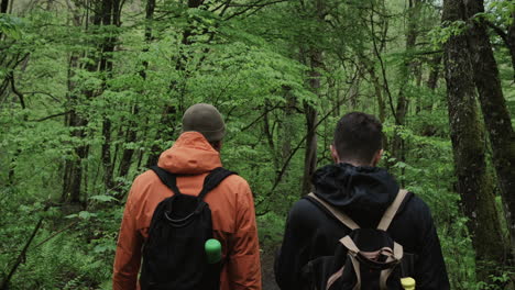 two hikers in a forest