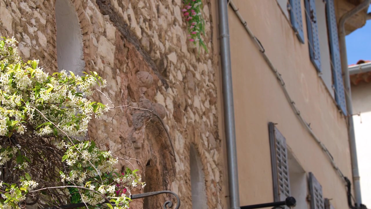 Fiori di gelsomino bianchi sbocciano contro un muro di pietra rustico e persiane blu a Cassis