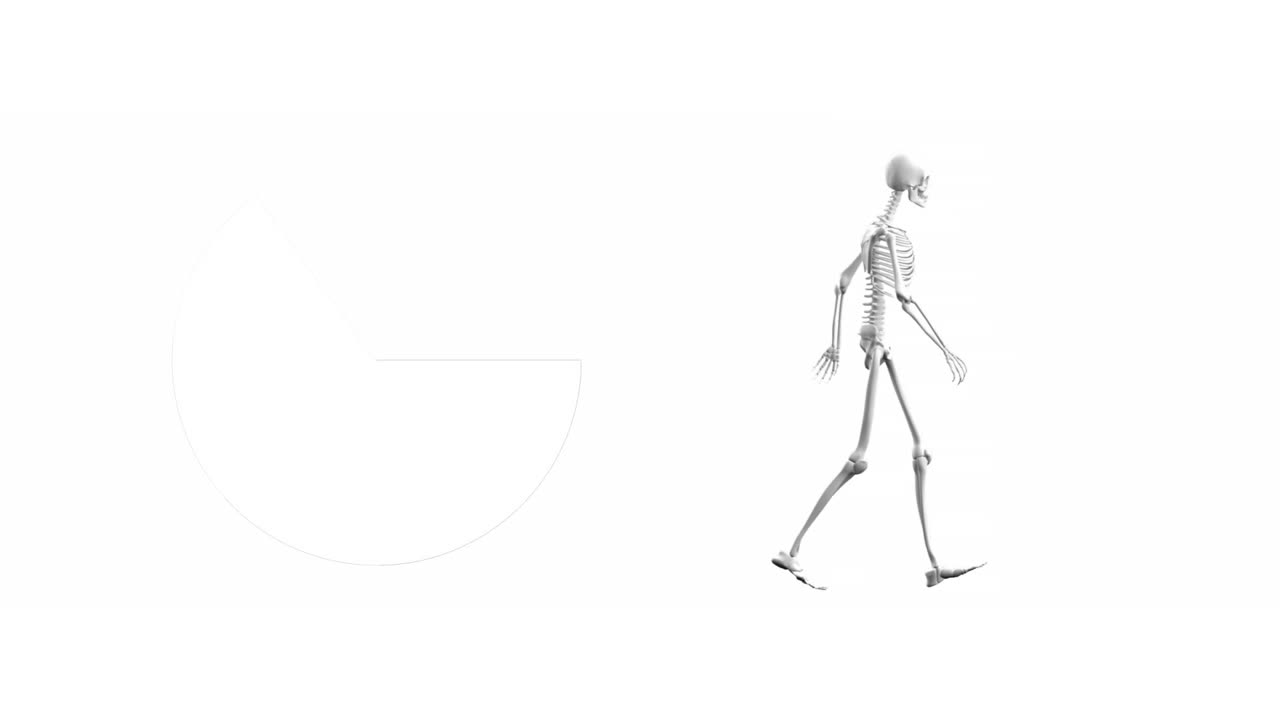 animación digital de un gráfico de pastel y un esqueleto humano caminando contra un fondo blanco
