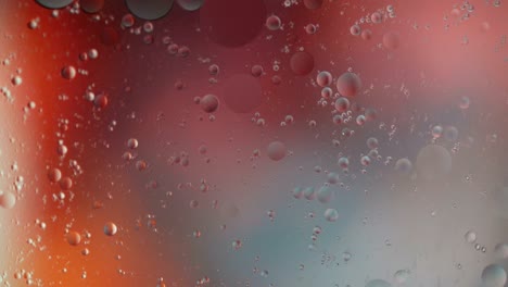 fantastic structure of colorful bubbles. chaotic motion. abstract colorful paint. top view. movement of bubbles in the liquid. oil surface multicolored background. macro