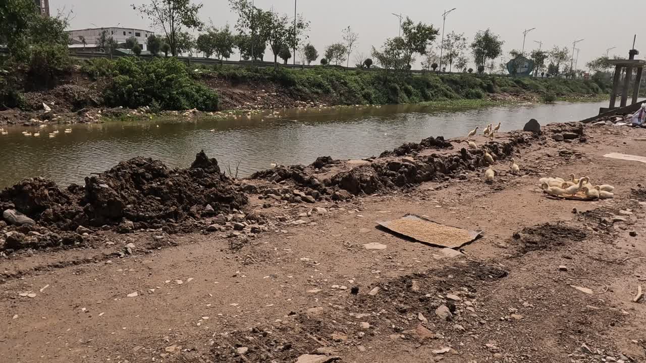 시간의 흐름에 따라 토지 정리 및 수로 개발