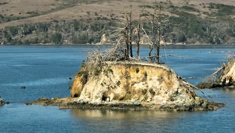 Point-Reyes,-DJ-I-Mavic-3,-telephoto-lens