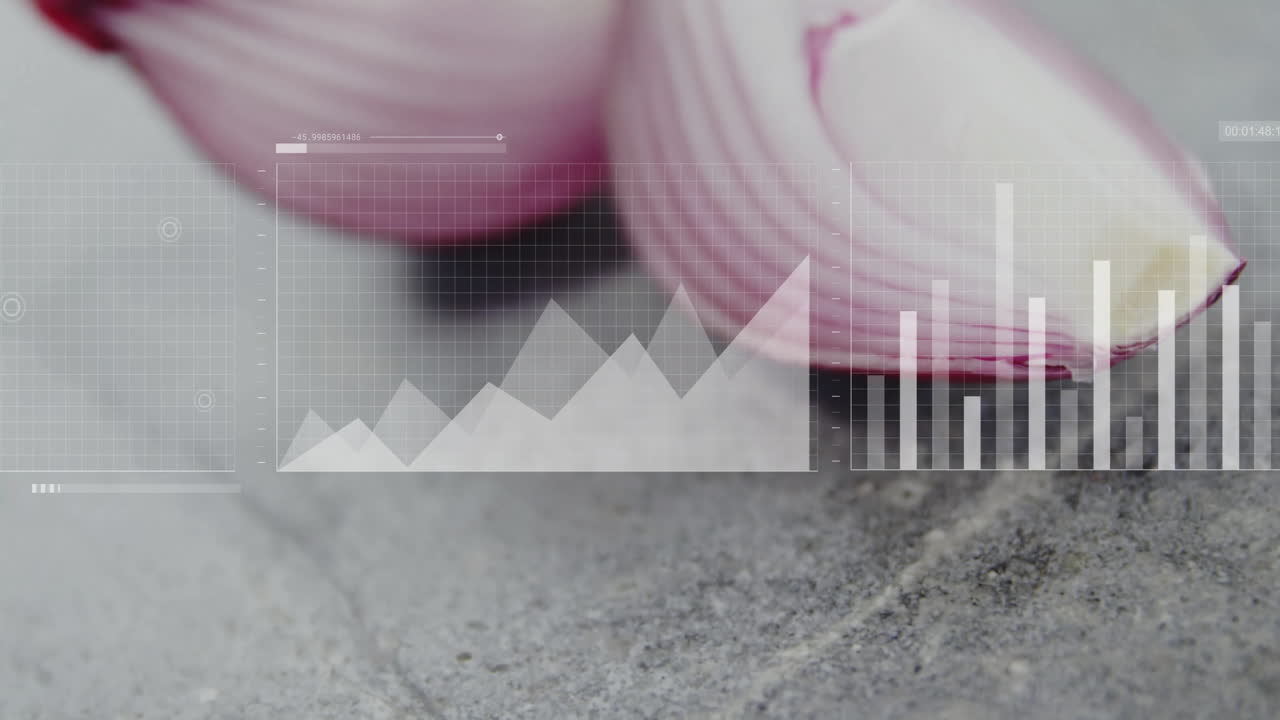 Graph and bar chart animation over close-up of sliced red onions