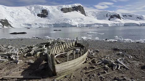 panorámica de un barco de agua histórico y huesos de ballena en el puerto de mikkelson en la antártida