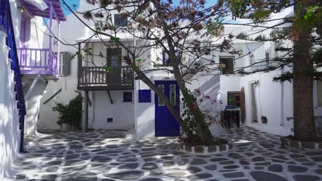 moving along an empty stone courtyard with trees growing in it on mykonos, with a bright purple balcony on the white houses with blue doors