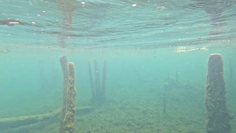 underwater view of a lake with submerged wood structures and debris