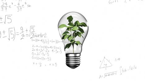 animation of mathematical data processing over plant growing in lightbulb