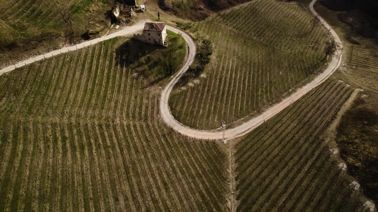 Veduta aerea paesaggistica su una strada che si snoda tra i filari di vigneti nelle colline del Prosecco, Italia, in una giornata invernale