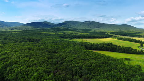 approaching lush green woods surrounding the meadows. verdant mountain range at backdrop. aerial view.