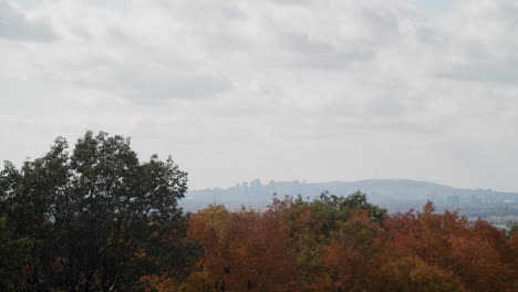 sunny autumn day at the mountain with colored leaves