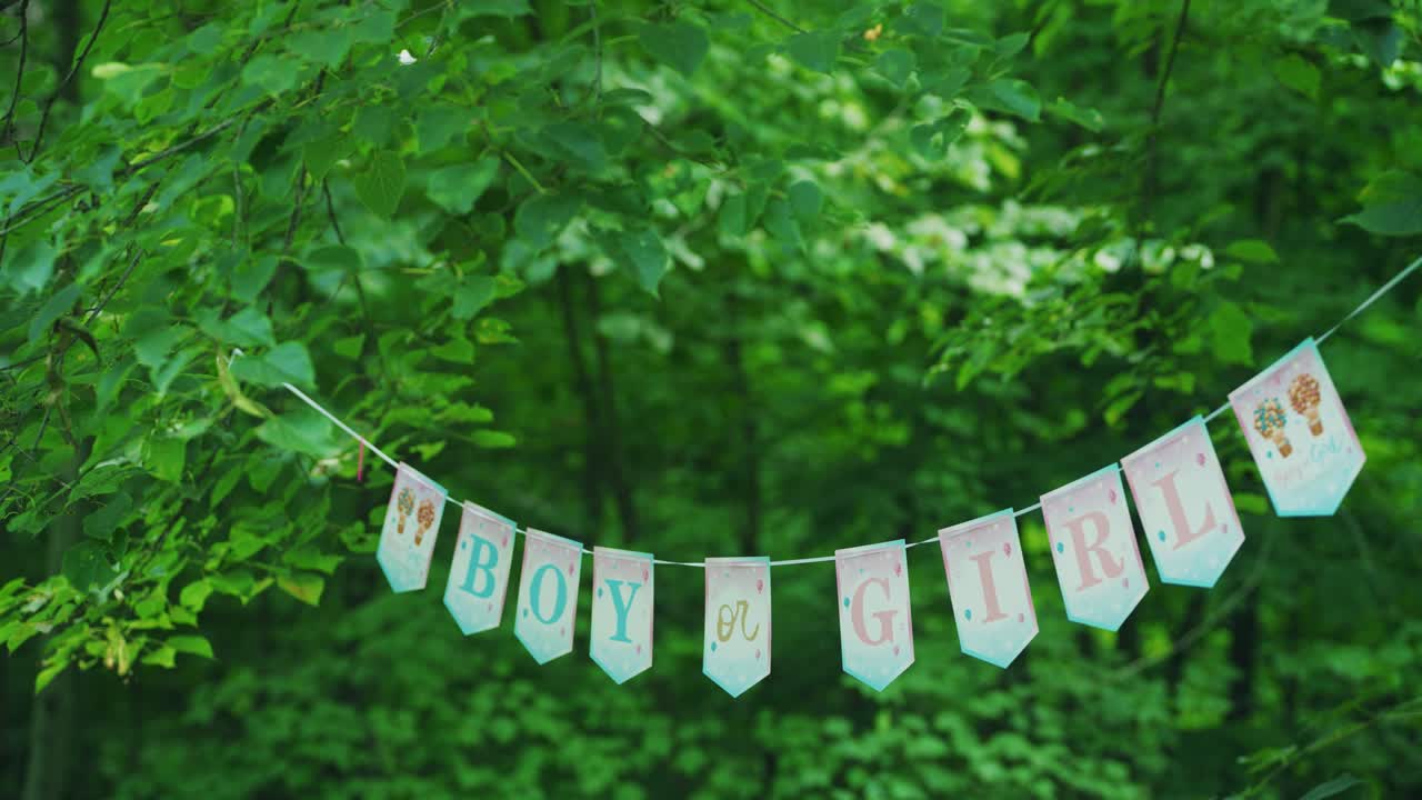 Decorazioni con lettere "Maschio o Femmina" appese a una corda in una foresta a una festa di rivelazione del sesso all'aperto.