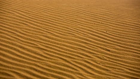 merzouga en el desierto del sáhara en marruecos
