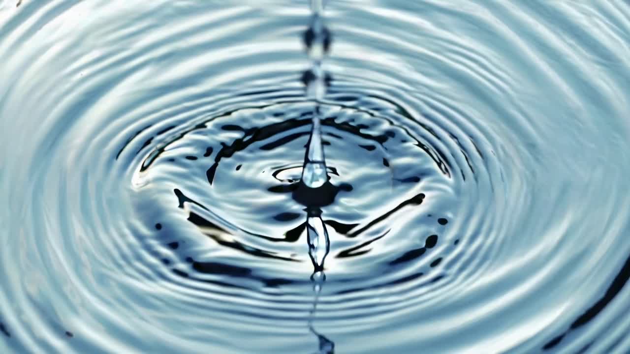 Close-up video of a water droplet creating ripples in a pond