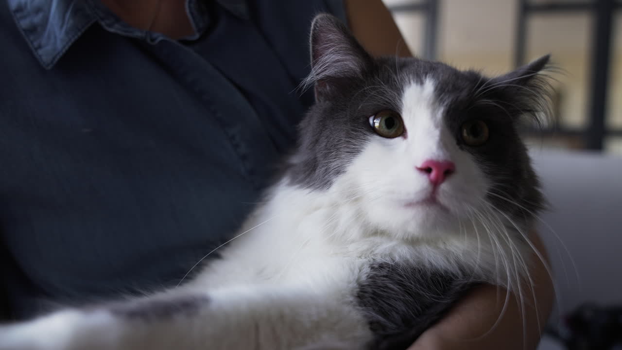 애완동물 과 함께 하는 여자