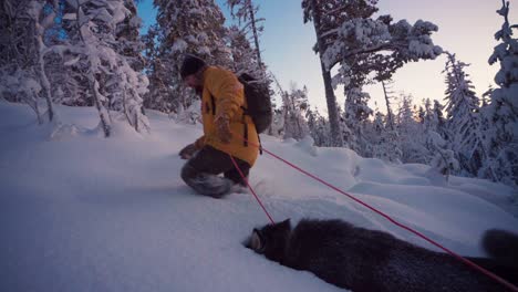 traveling man with funny alaskan malamute dog walking in deep snow in winter