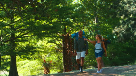pareja con mochilas dándose el uno al otro cinco en vacaciones caminando por el campo juntos