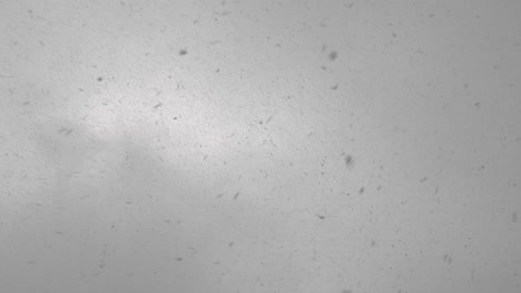 lluvia de nieve - disparo de pov