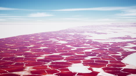 beautiful view of pink lake on summer day