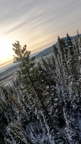 FPV-race-drone-navigates-sunny-snow-covered-trees