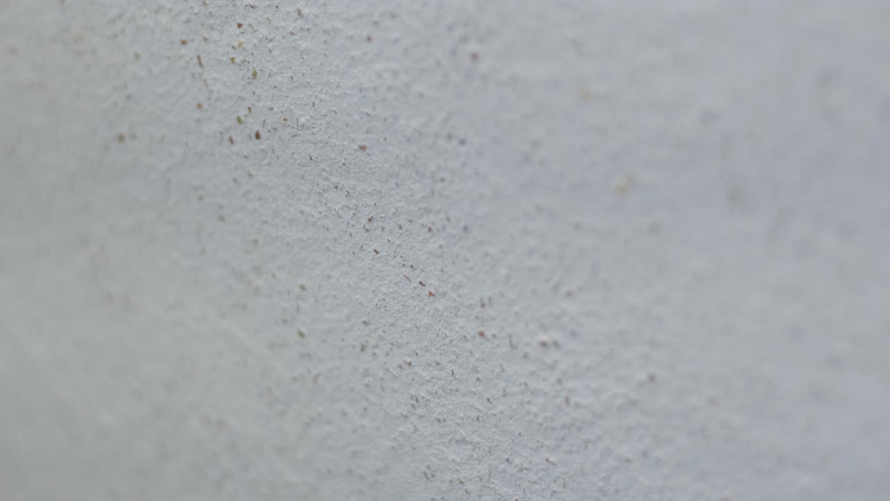 Close-up view of a textured white wall