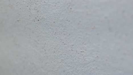 close-up view of a textured white wall