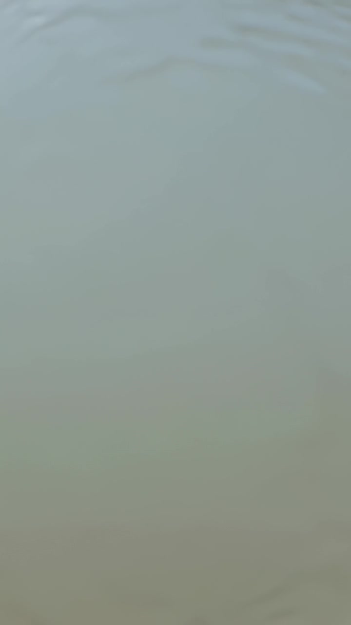 Vertical video: Showing calm pale blue pond water gently rippling, starting from faint ripple