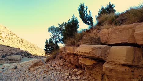 a river in the middle of the sahara desert algeria biskra