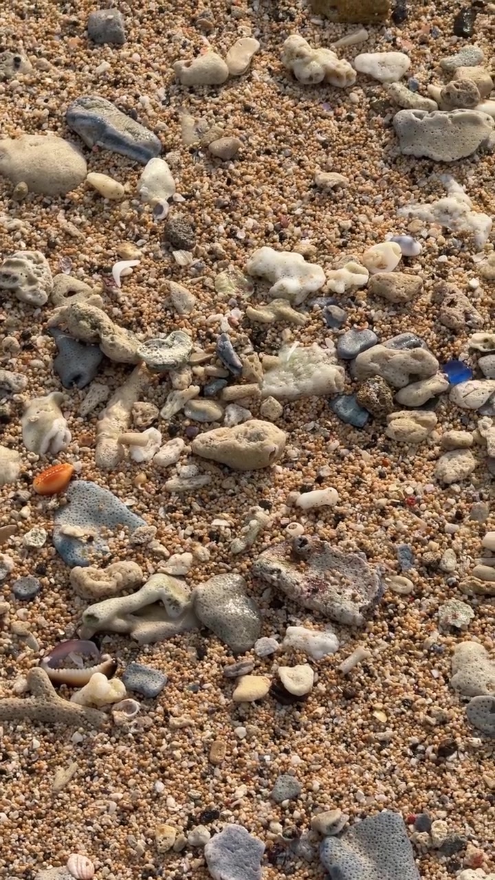 Onda do Mar Batendo em Fragmentos de Coral e Areia em Praia Tropical
