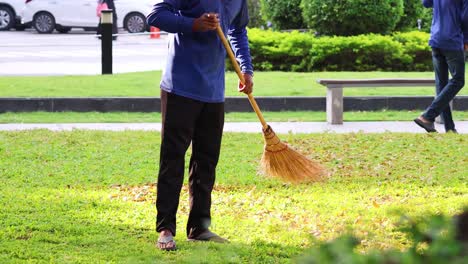 person cleaning up fallen leaves outdoors