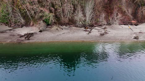 Stationary-drone-view-of-coast-and-ocean-with-seagulls-flying-in-Gig-Harbor,-Washington-State