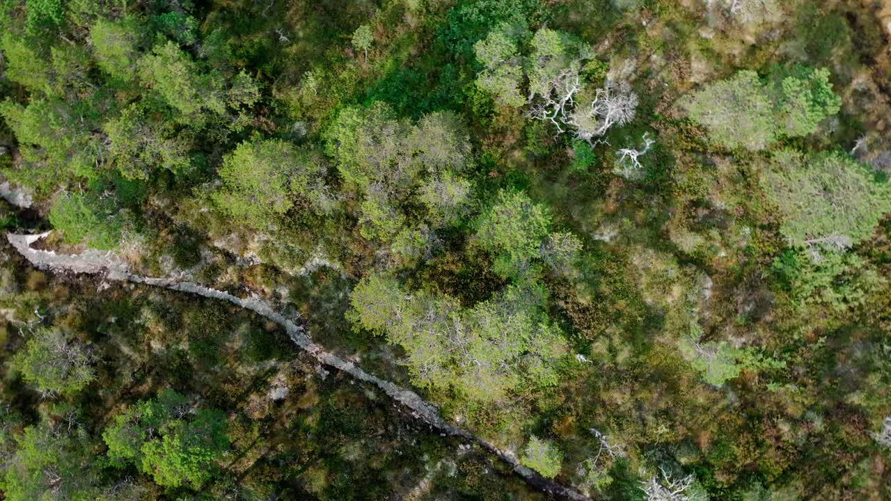 vista superior de un excursionista con un perro en las vías entre hasselvika y rissa en la montaña blaheia, noruega