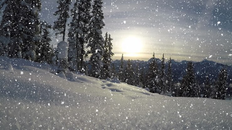 Neve che cade in campagna