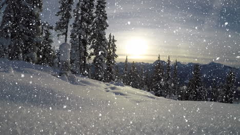 snow falling in countryside