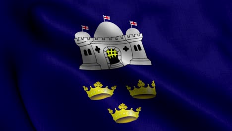 이스트 글리아 대학교의 발 (영어: flag of east anglia university) 은 영국 런던에 있는 영국 발 컬렉션 (the england banner collection) 의 발이다.
