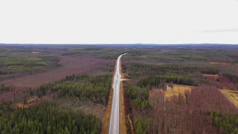 aerial view of highway going through big forest