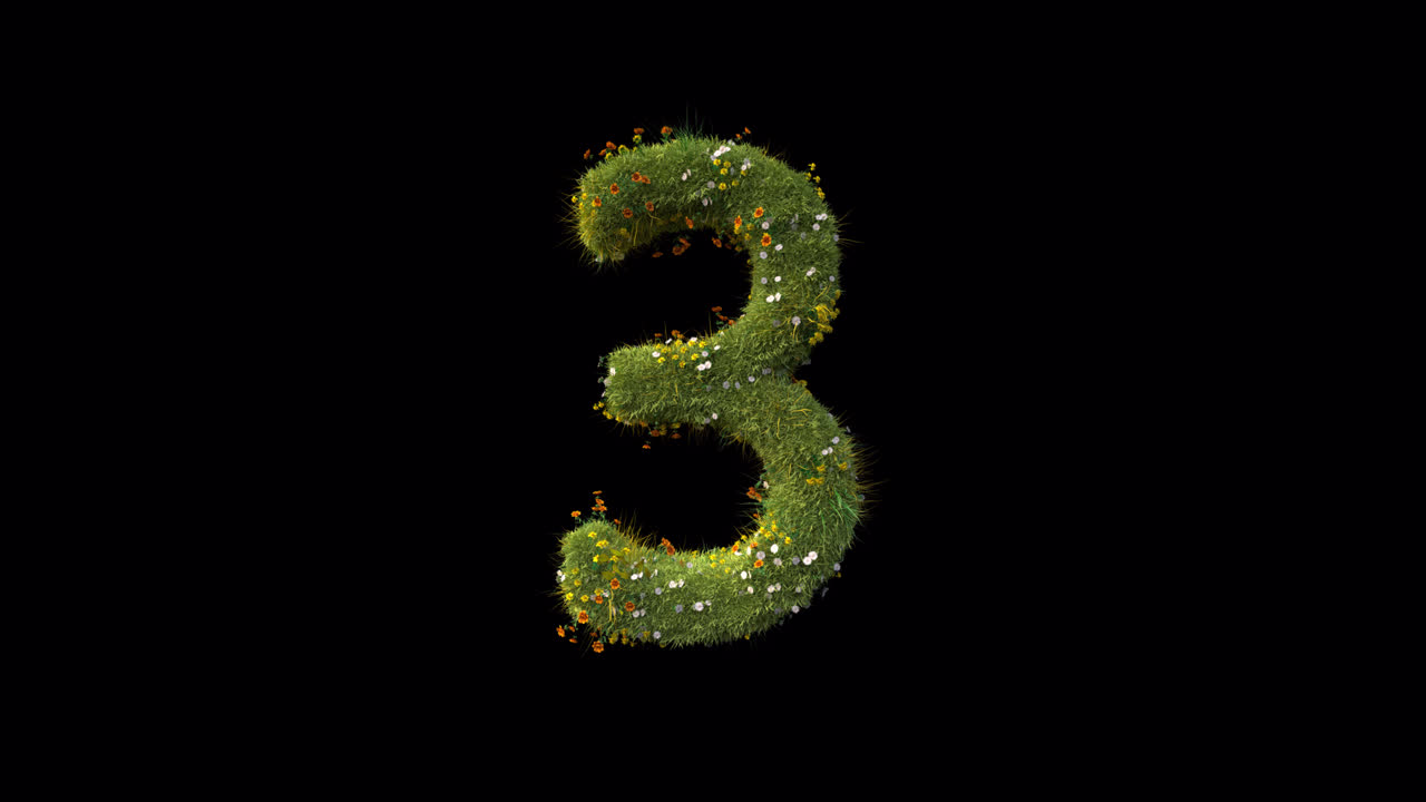 Numero 3 Erba e fiori che crescono su sfondo nero
