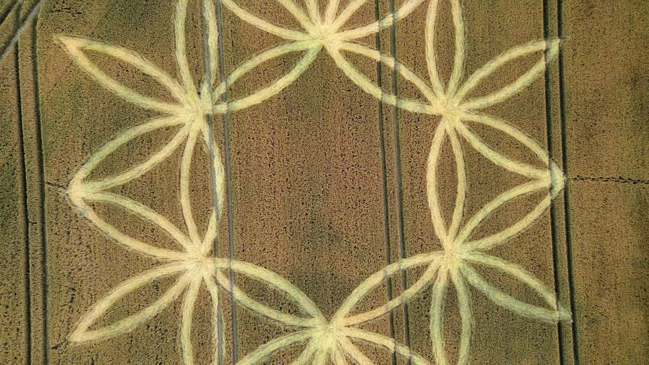 영국 워민스터 근처의  ⁇ 에 있는 작물 원의 위상 뷰 - 드론  ⁇