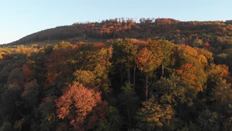 Vista-Aérea-De-Un-Bosque-En-Hermosos-Colores-De-Otoño