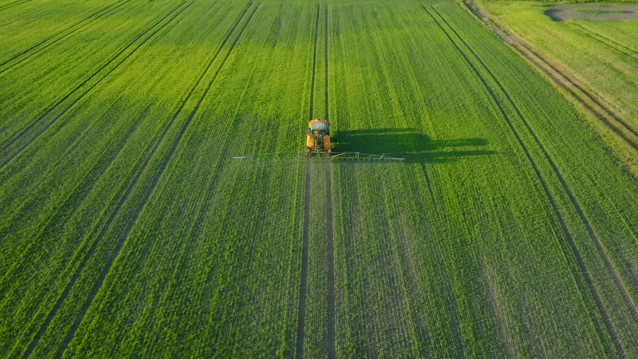 vista aérea de un agricultor rociando campos de cultivos con tractor, fumigación de pesticidas y fertilizantes, noche soleada de verano, luz de la hora dorada, tiro de drone ancho moviéndose hacia adelante, inclinado hacia abajo