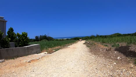 path to okinawa beach at maeda point